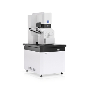 K&iacute;nh hiển vi điện tử qu&eacute;t Zeiss SEM